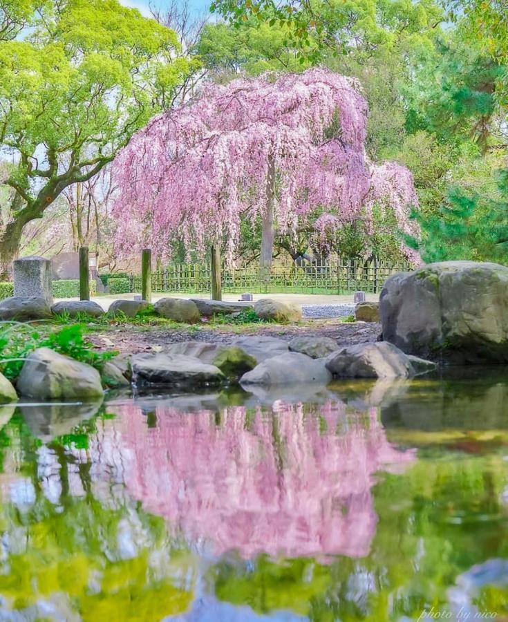 Вилла Tsurui Goshonishi 鶴居御所西 Киото Экстерьер фото
